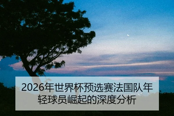 nian-shi-jie-bei-yu-xuan-sai-fa-guo-dui-nian-qing-qiu-yuan-jue-qi-de-shen-du-fen-xi-2-282.jpg