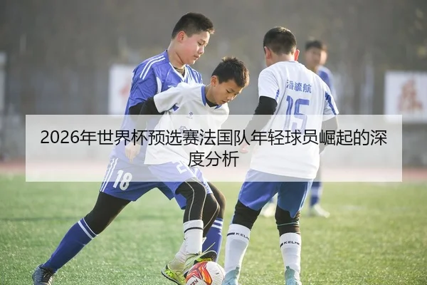 2026年世界杯预选赛法国队年轻球员崛起的深度分析