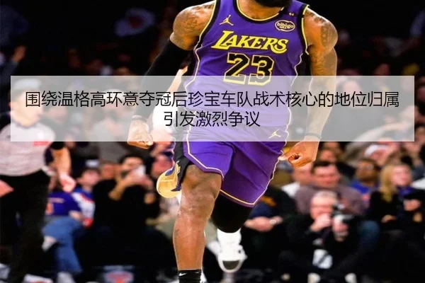 wei-rao-wen-ge-gao-huan-yi-duo-guan-hou-zhen-bao-che-dui-zhan-shu-he-xin-de-di-wei-gui-shu-yin-fa-ji-lie-zheng-yi-3-752.jpg